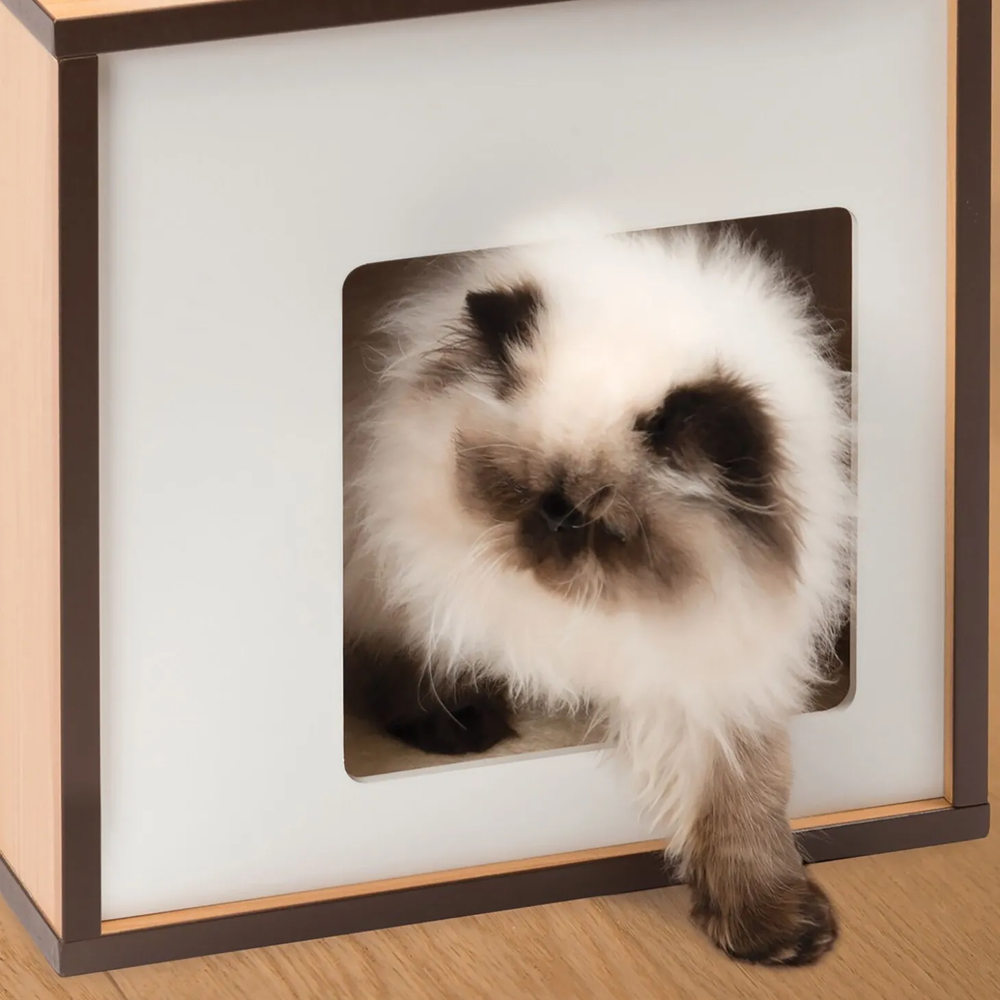 72.5 cm V-Box Cat Tree, Walnut