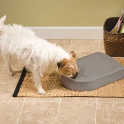 5 meal automatic feeder