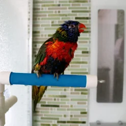 Active Play Fold-Away Shower and Window Perch