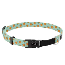 Adjustable Cat Collar
