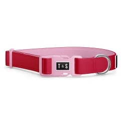 Adjustable Dog Collar