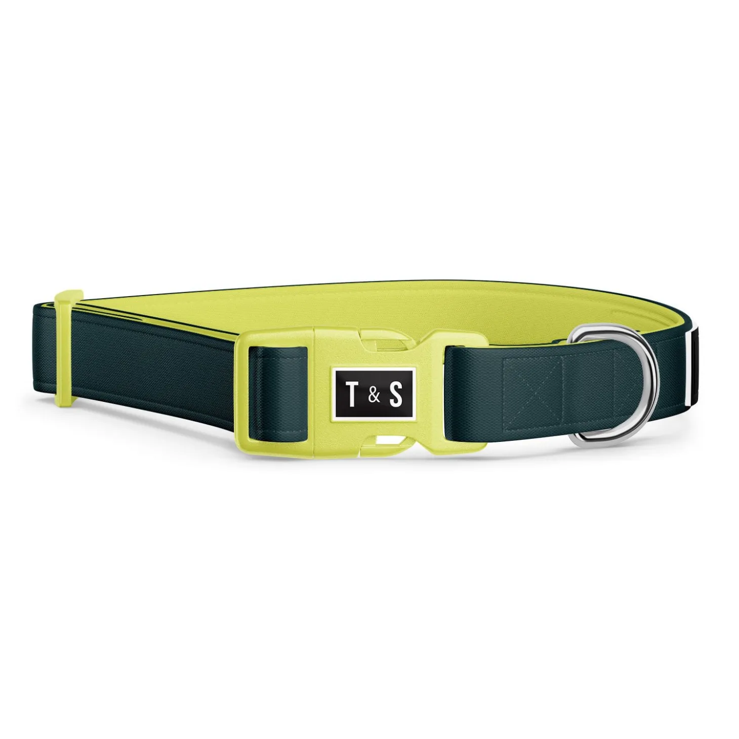 Adjustable Dog Collar