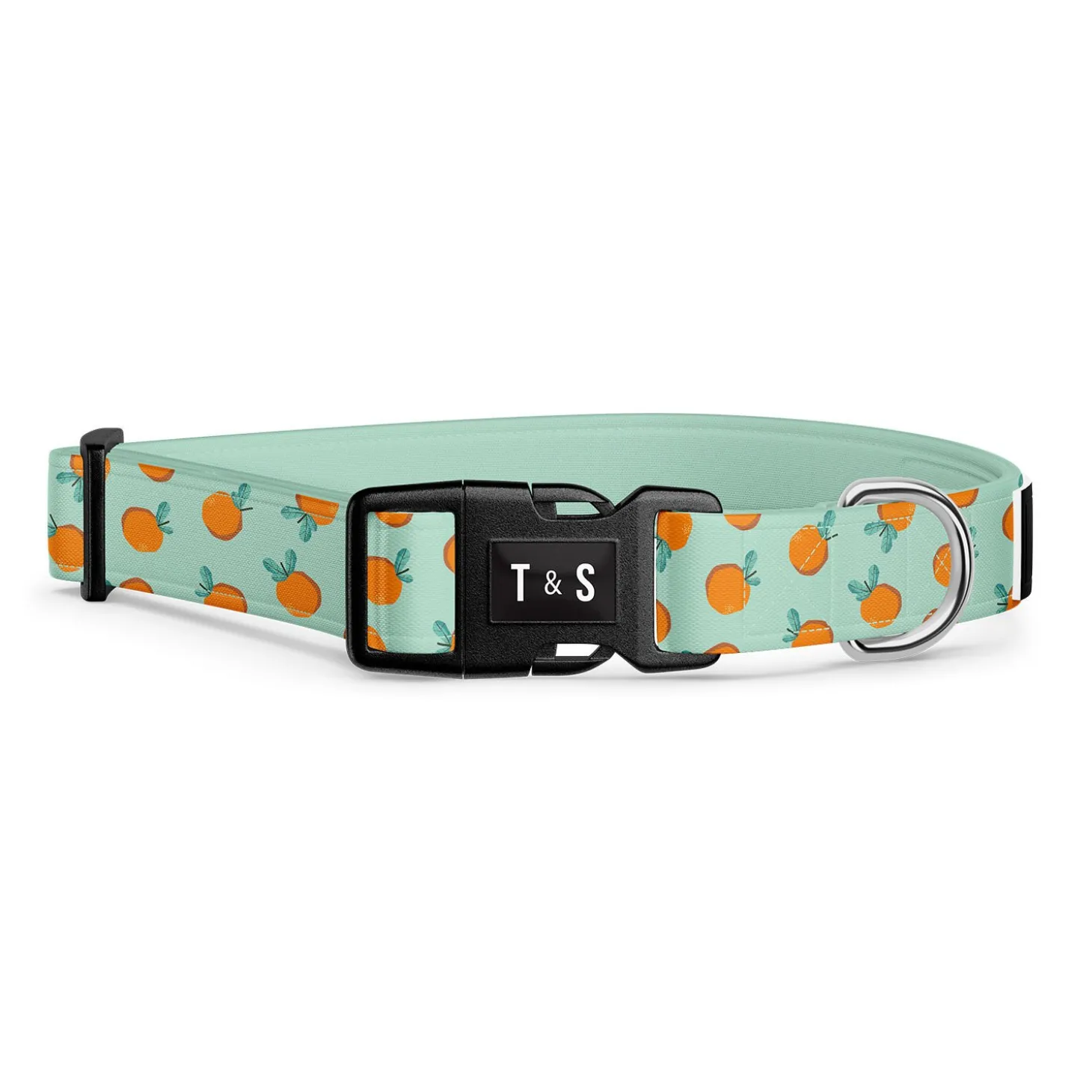 Adjustable Dog Collar