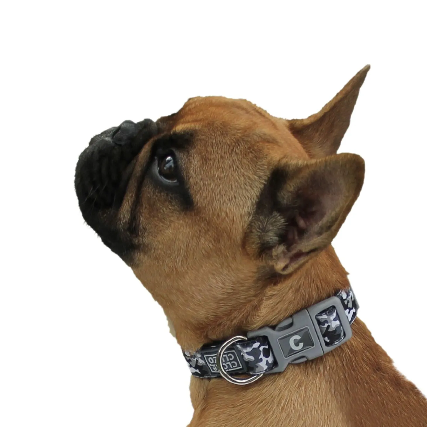 Adjustable dog collar, camo