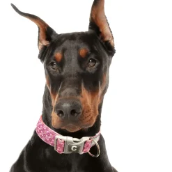 Adjustable dog collar, flowers