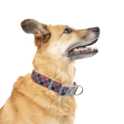 Adjustable dog collar, plaid