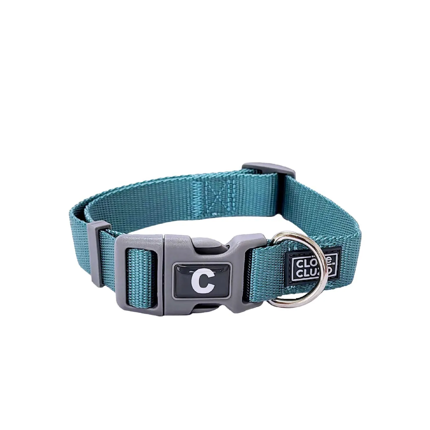 Adjustable Dog Collar, Turquoise