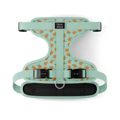 Adjustable Dog Harness