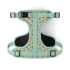 Adjustable Dog Harness