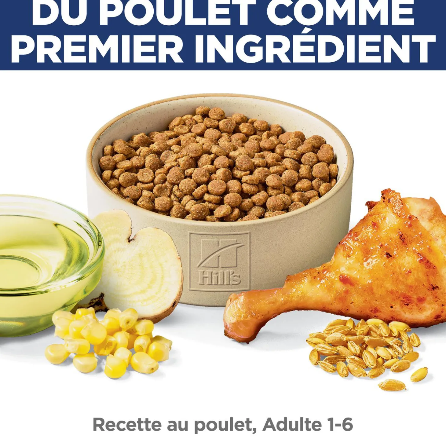Adult Chicken Dry Cat Food, 1.81 kg
