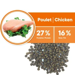 Adult Chicken Formula - Toy and Small Breeds
