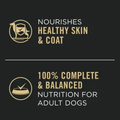Adult Complete Essentials Chicken & Rice Entrée Classic Wet Dog Food, 368 g
