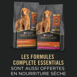 Adult Complete Essentials Chicken & Rice Entrée Classic Wet Dog Food, 368 g