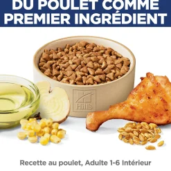 Adult Indoor Dry Chicken Cat Food, 3.18 kg