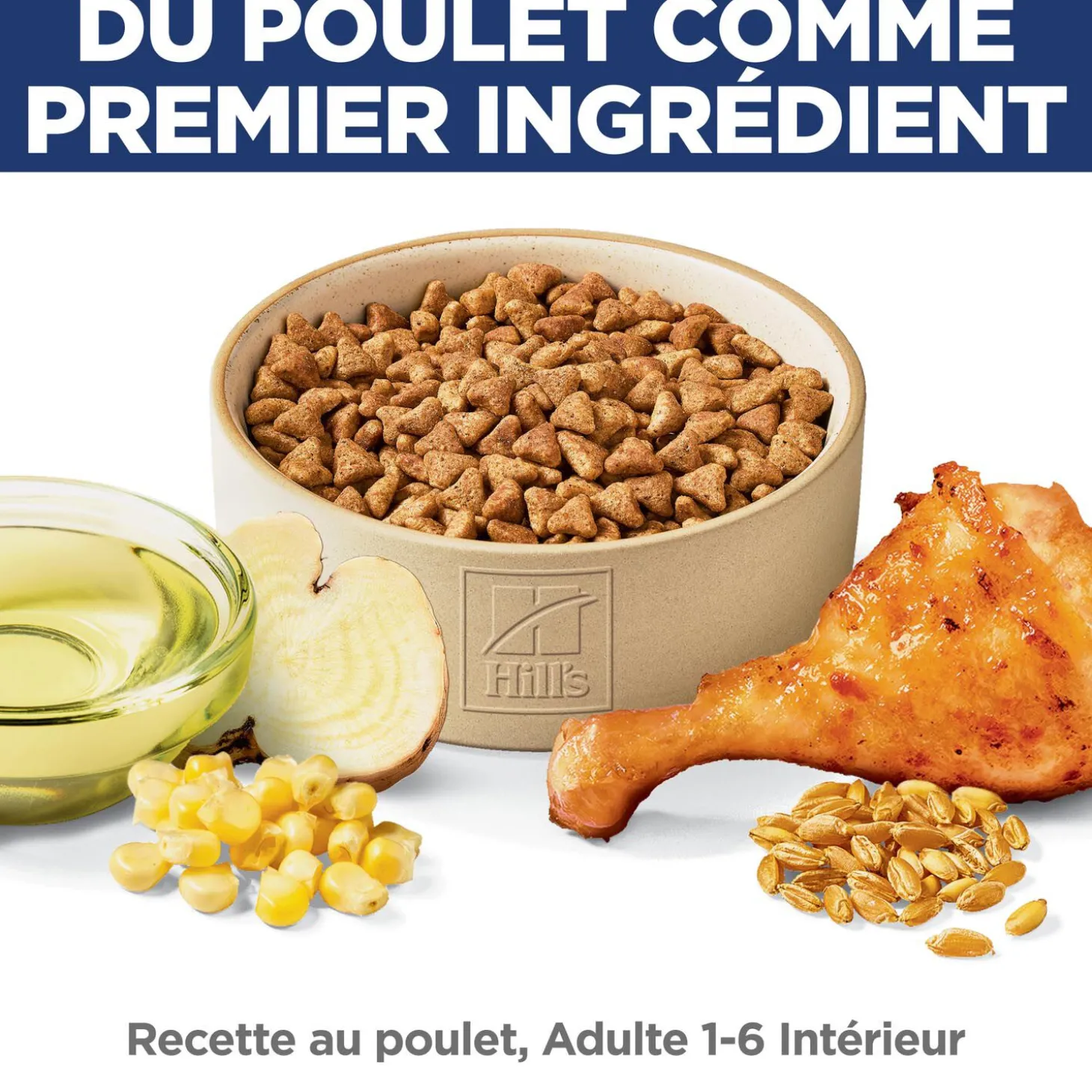 Adult Indoor Dry Chicken Cat Food, 3.18 kg