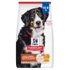 Adult Large Breed Chicken & Barley Dry Dog Food, 15.9 kg