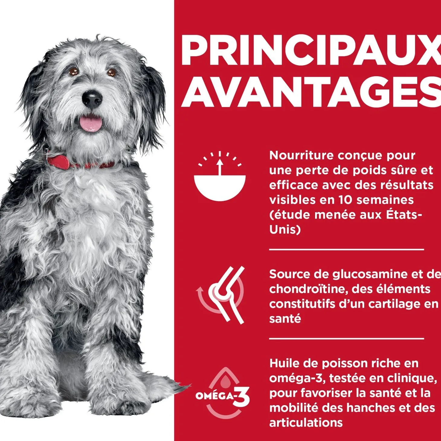 Adult Perfect Weight & Joint Support Chicken Dry Dog Food, 1.3 kg