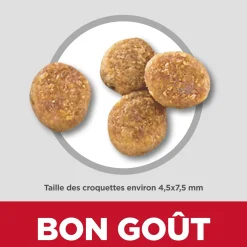 Adult Perfect Weight Small & Mini Chicken Recipe Dry Dog Food, 1.8 kg