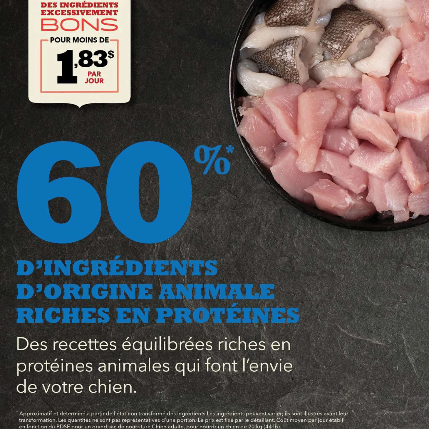 Adult Run-free Chicken and Raw Hake Recipe for Dogs, 11.4 kg