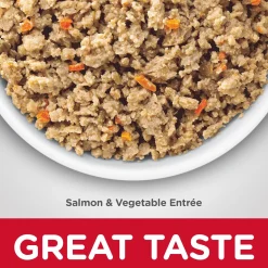 Adult Sensitive Stomach & Skin Salmon & Vegetable Entrée for Dogs, 363 g