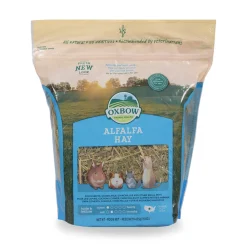 Alfalfa Hay for rodents