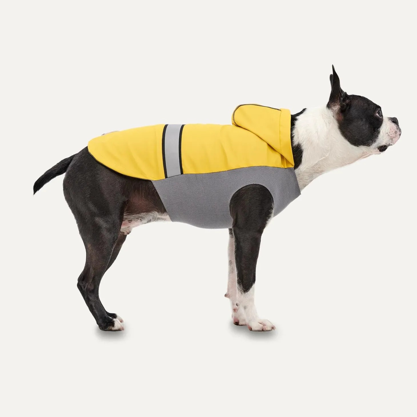 All-season Rain Coat for Dogs