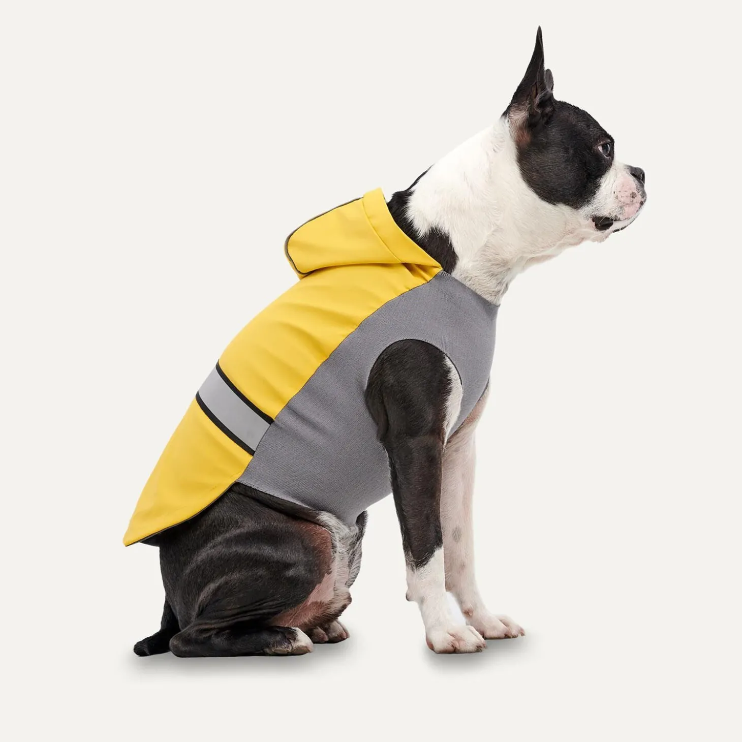 All-season Rain Coat for Dogs
