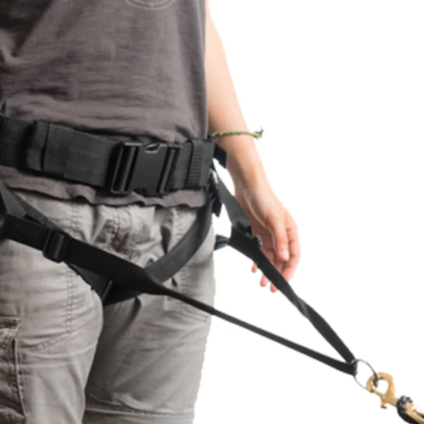 Amicale Belt and Bungee Leash for Dogs, red