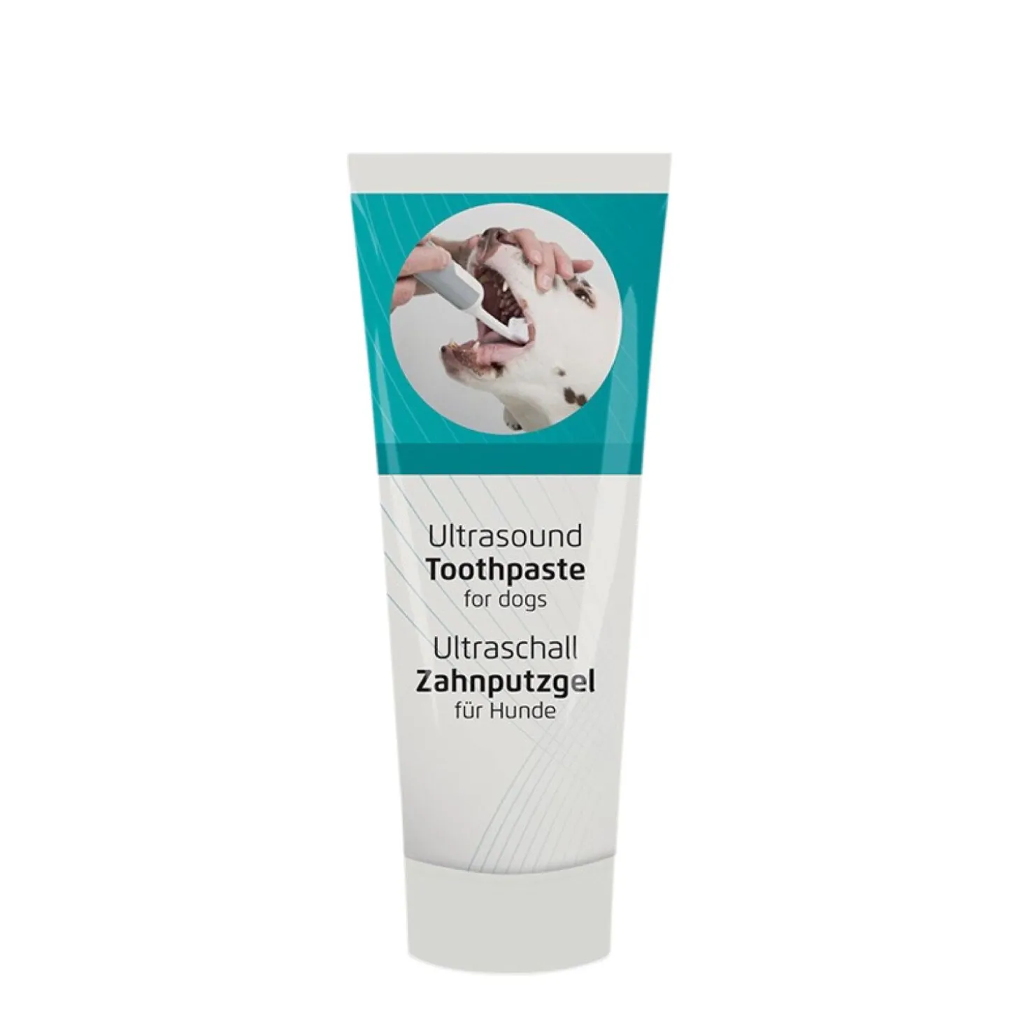 Apple flavoured toothpaste for dogs