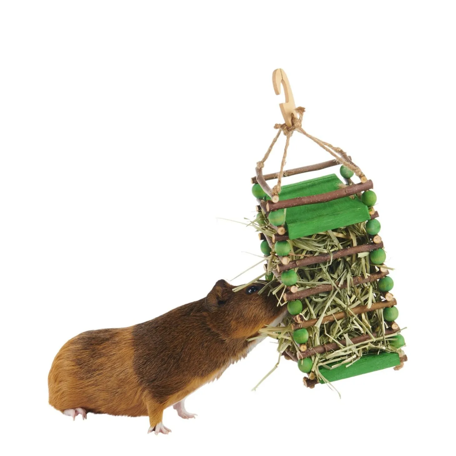 Apple Stick Hay Feeder for Rodents