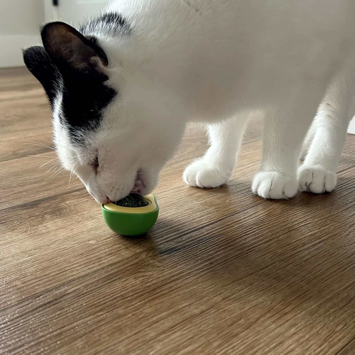 Avocado Cat Toy