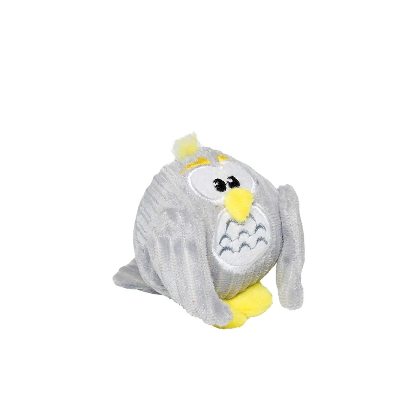 Baby owl