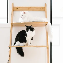 Bamboo Ladder Cat Tree