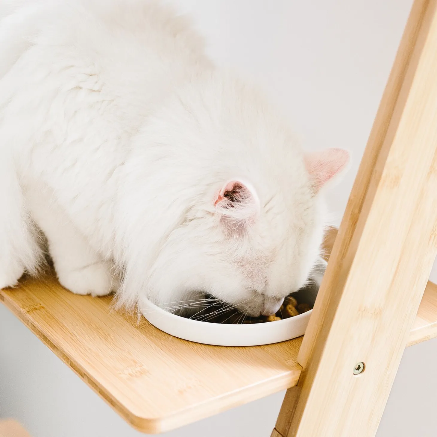 Bamboo Ladder Cat Tree