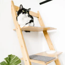 Bamboo Ladder Cat Tree