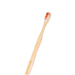 Bamboo toothbrush for big dog