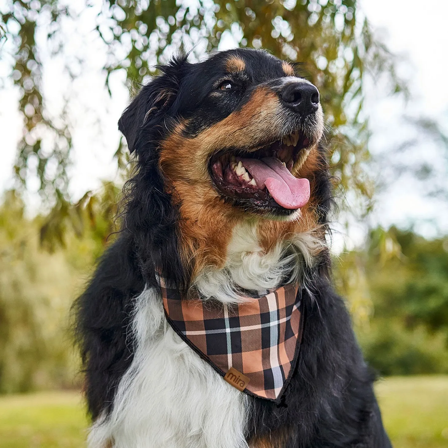 Bandana for Pets
