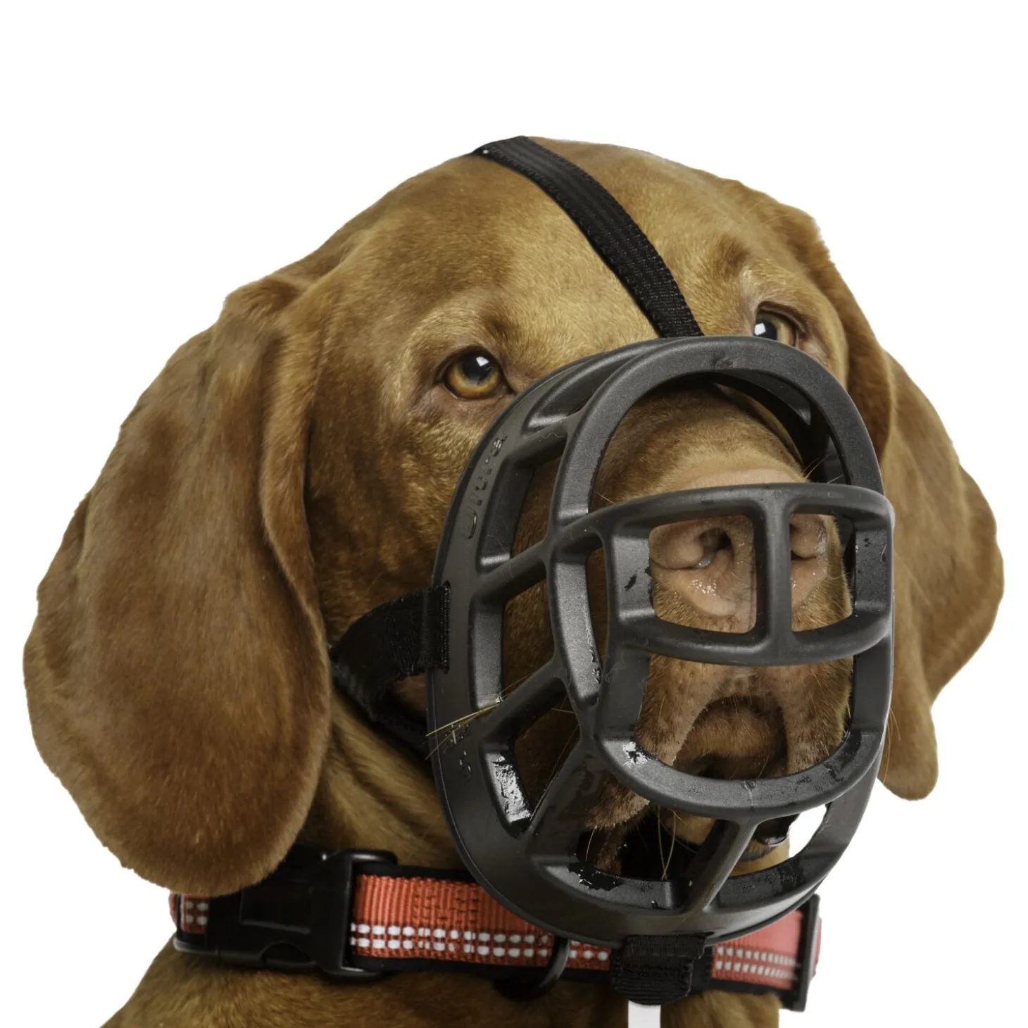 Baskerville Ultra Muzzle