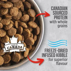 Beef food for adult dogs