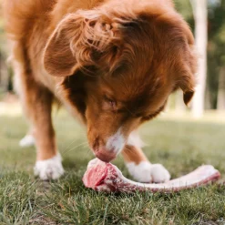 Beef rib bone, 110g