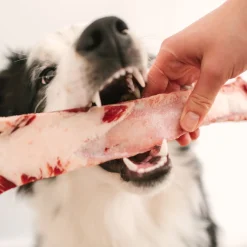Beef rib bone, 110g