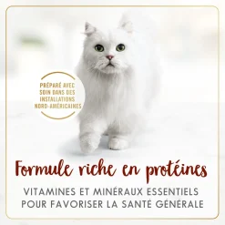 Beef wet food for adult cats