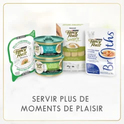 Beef wet food for adult cats