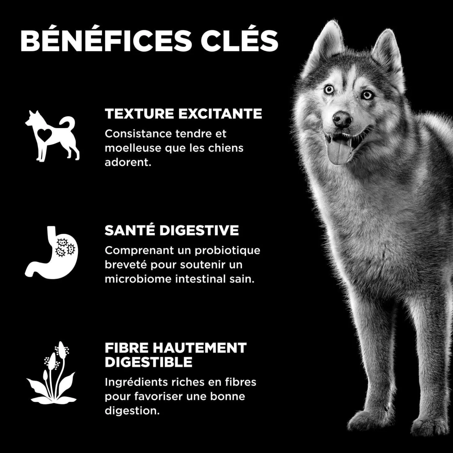 Benefit Chews Digestion + Gut Health Salmon Treats for Dogs
