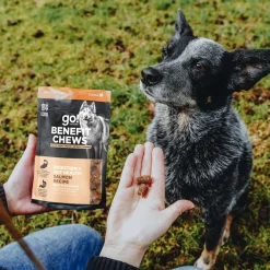 Benefit Chews Digestion + Gut Health Salmon Treats for Dogs