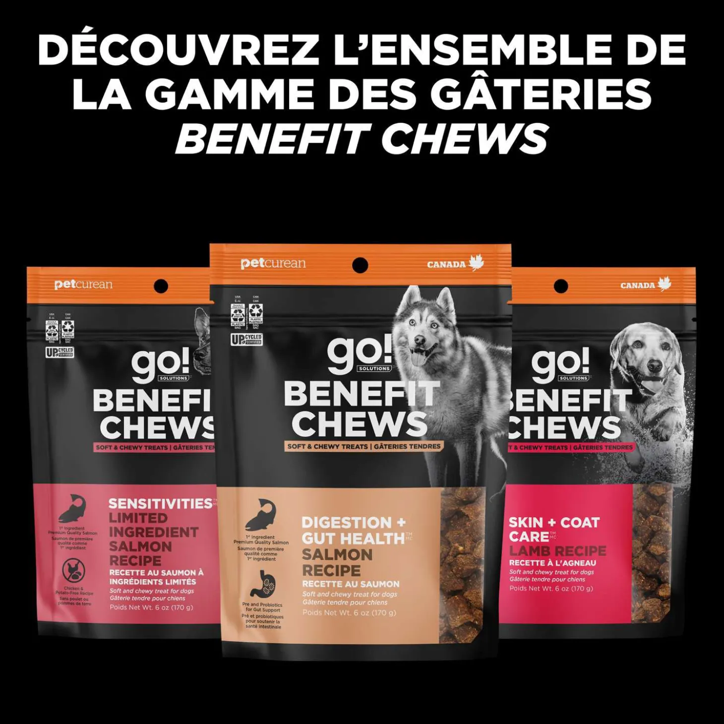Benefit Chews Digestion + Gut Health Salmon Treats for Dogs