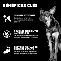 Benefit Chews Sensitivities Limited Ingredients Salmon Treats for Dogs