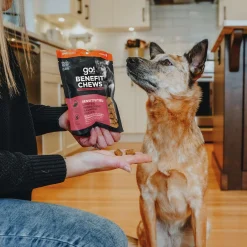 Benefit Chews Sensitivities Limited Ingredients Salmon Treats for Dogs