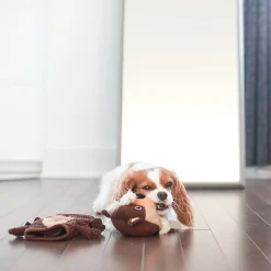 Bernie the beaver dog toy