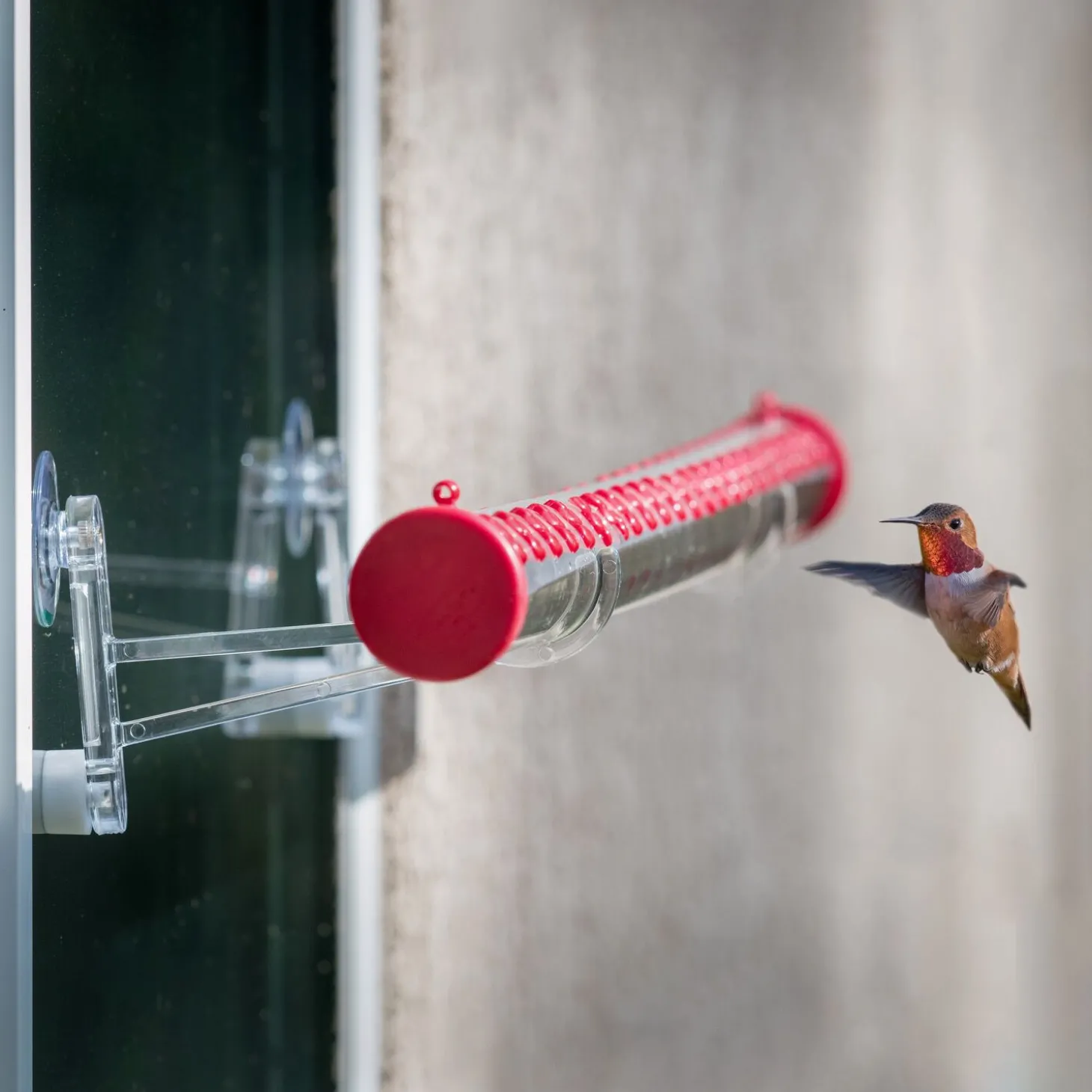 Bird Feeder Mounting Brackets